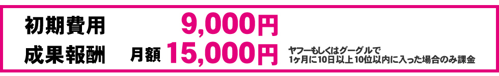 初期費用9,000円 成果報酬月額15,000円ヤフーもしくはグーグルで1ヶ月に10日以上10位以内に入った場合のみ課金