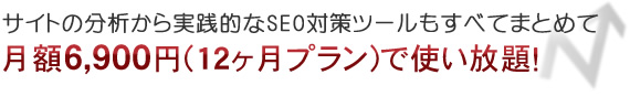 サイトの分析から実践的な対策ツールもすべてまとめて12ヶ月プランで月額6,900円